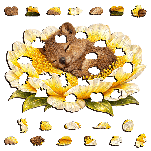 Quokka - Golden Rest Puzzle Art Australia