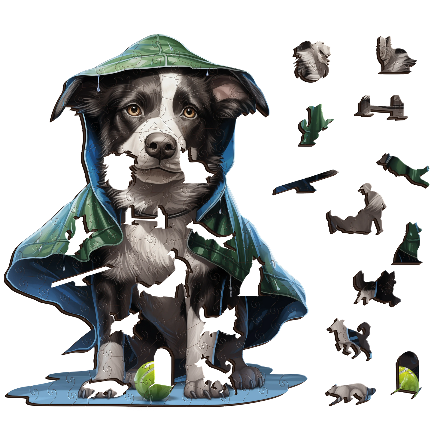 Border Collie Catch Puzzle Art Australia