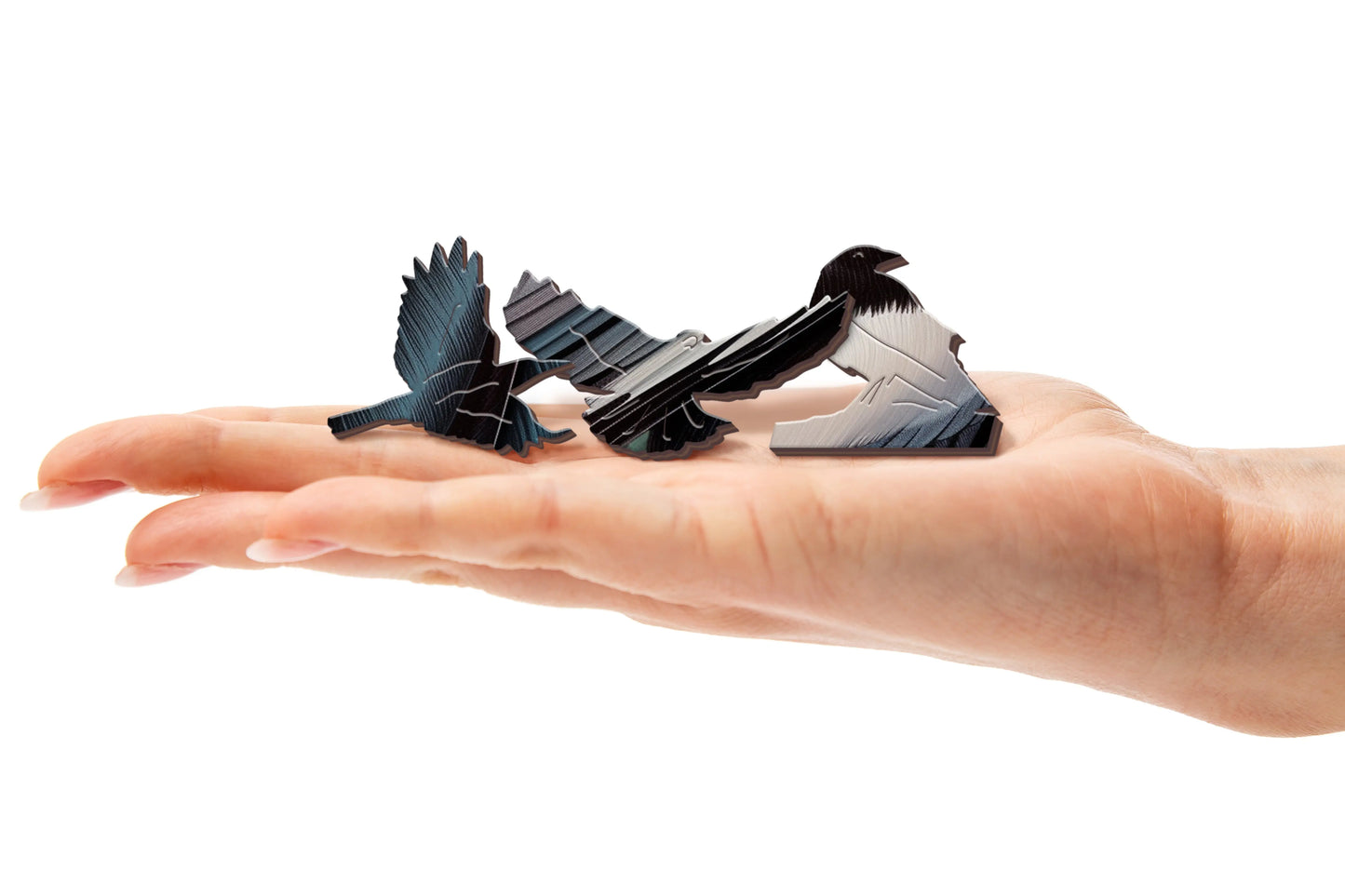 Magpie Puzzle Art Australia