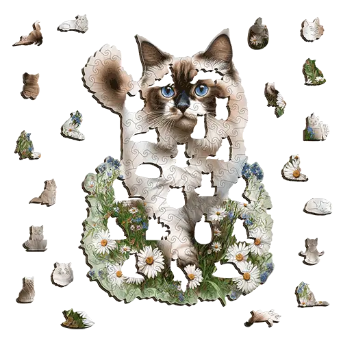 Ragdoll Cat Puzzle Art Australia