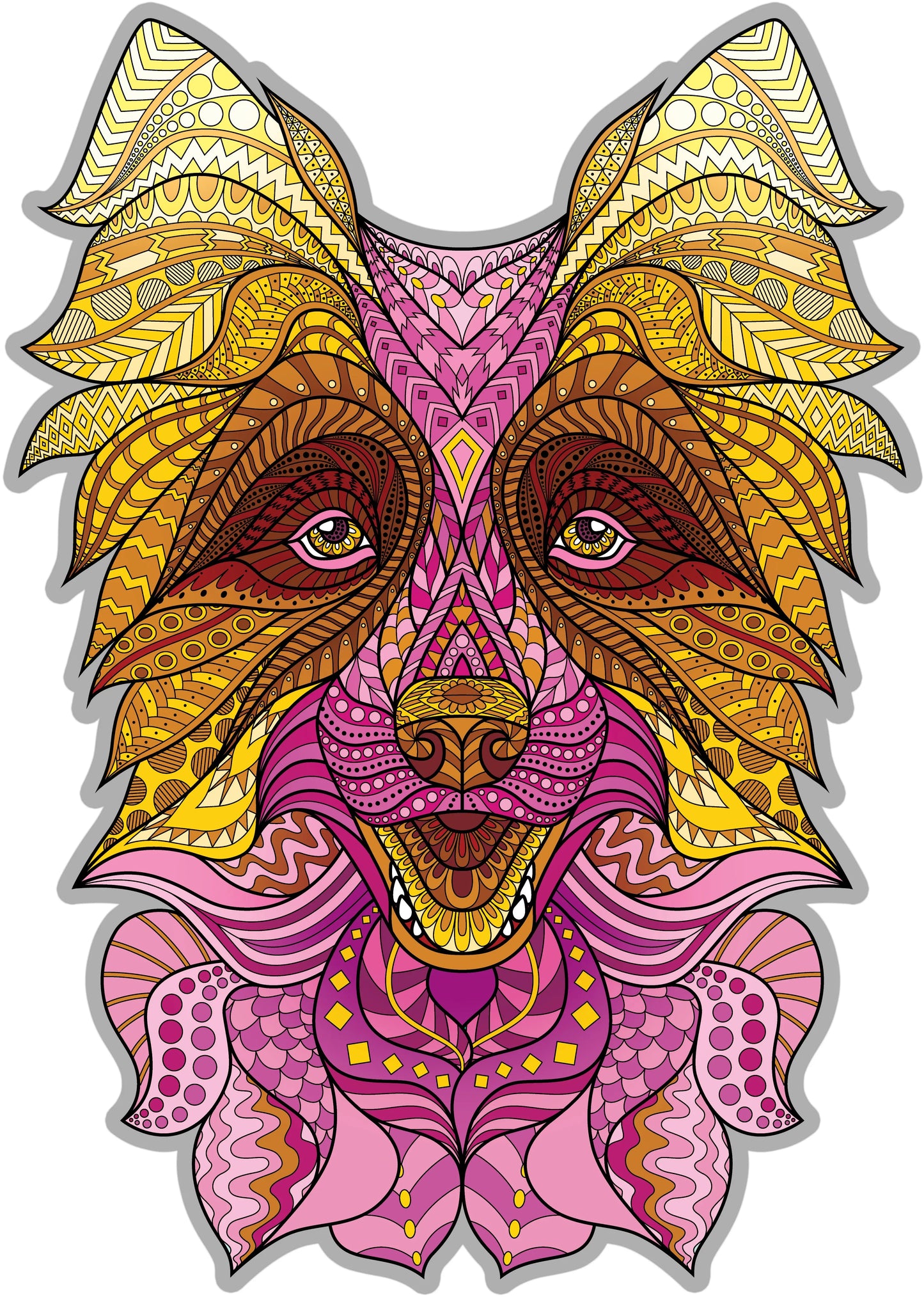 Boarder Collie