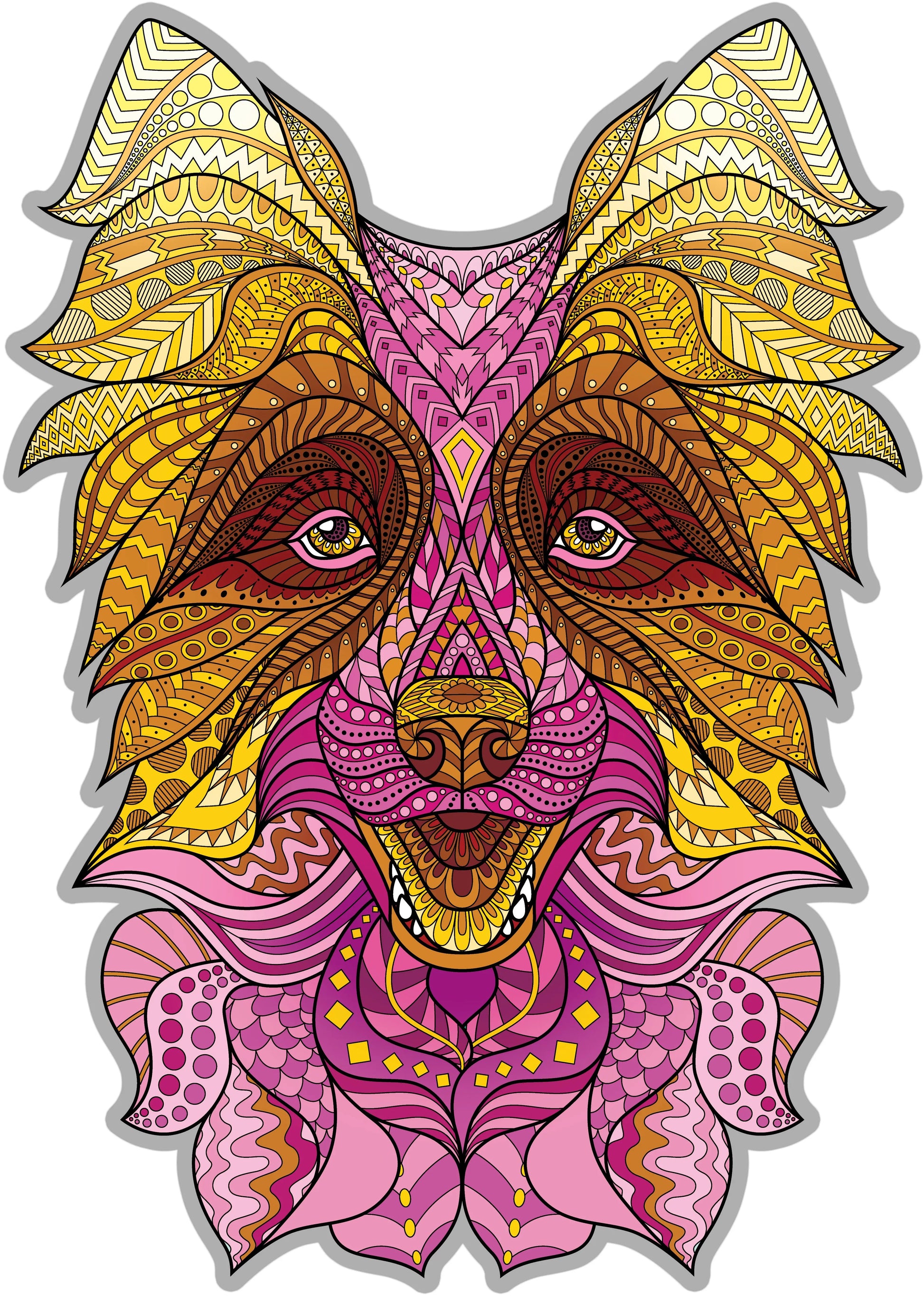 Boarder Collie