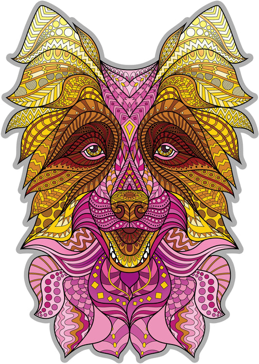 Boarder Collie