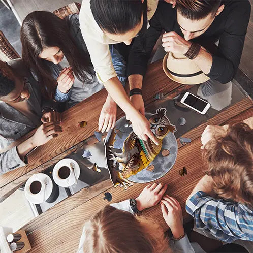 Boobook Owl Puzzle Art Australia