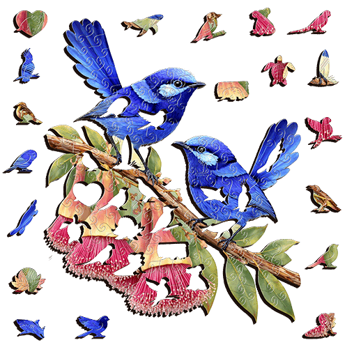 Splendid Fairy wrens Puzzle Art Australia