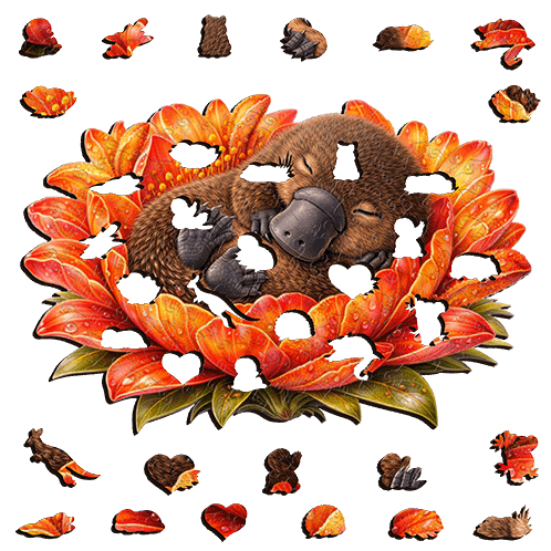 Platypus - Autumn Drift Puzzle Art Australia
