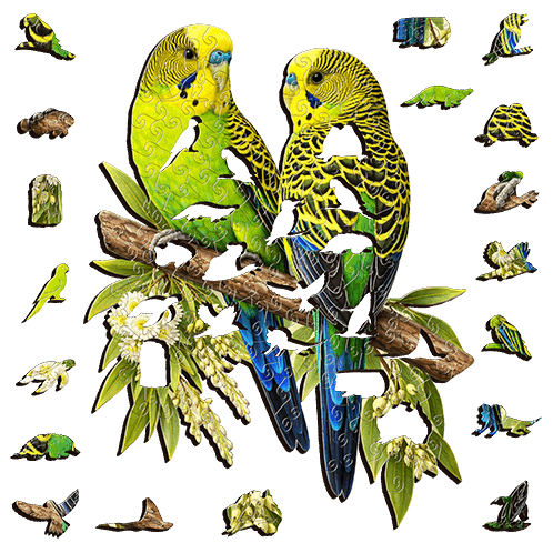 Wild Budgies Puzzle Art Australia