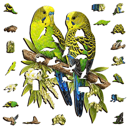 Wild Budgies Puzzle Art Australia