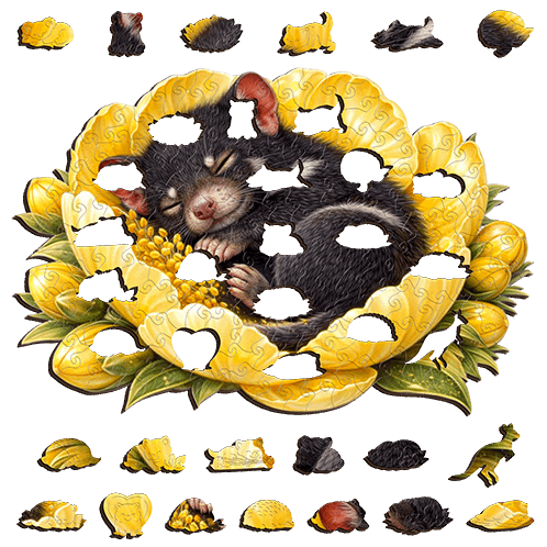 Tasmanian Devil - Sunlit Sleep Puzzle Art Australia