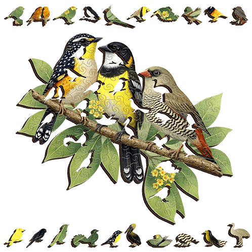 Song Birds Puzzle Art Australia
