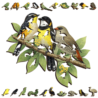 Song Birds Puzzle Art Australia
