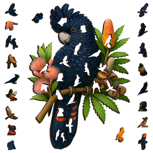 Black Cockatoo Red Tail Puzzle Art Australia