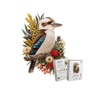 Kookaburra – Bushland Bloom