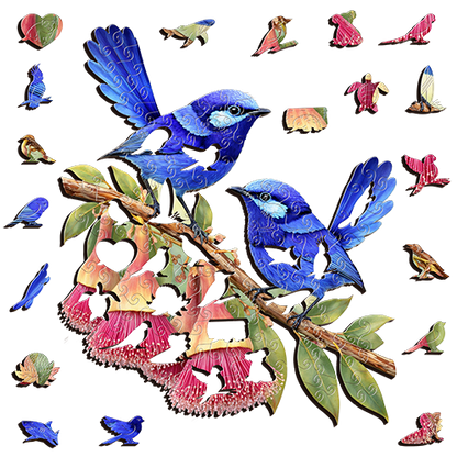 Splendid Fairy wrens Puzzle Art Australia