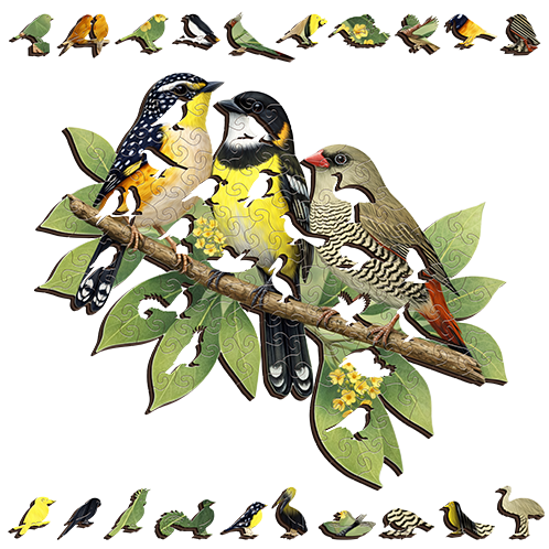 Song Birds Puzzle Art Australia