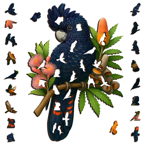 Black Cockatoo Red Tail Puzzle Art Australia