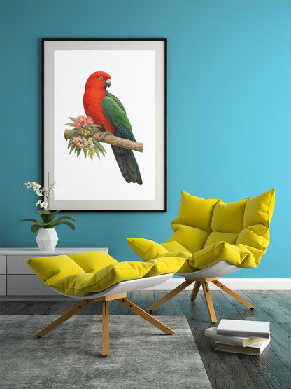 Australian King Parrot Wooden Puzzle Puzzle Art Australia
