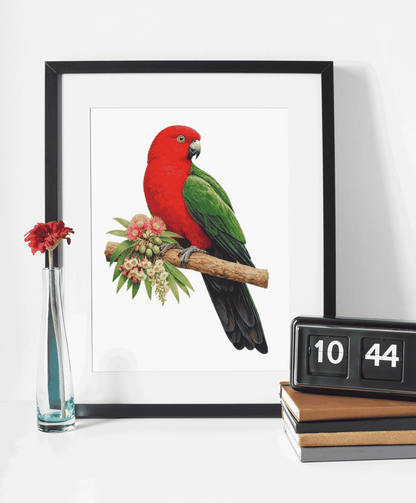 King parrot Puzzle Art Australia