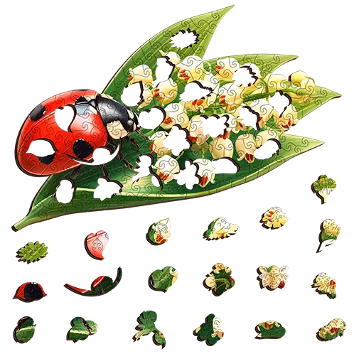 Lady Bug Puzzle Art Australia