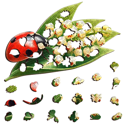 Lady Bug Puzzle Art Australia