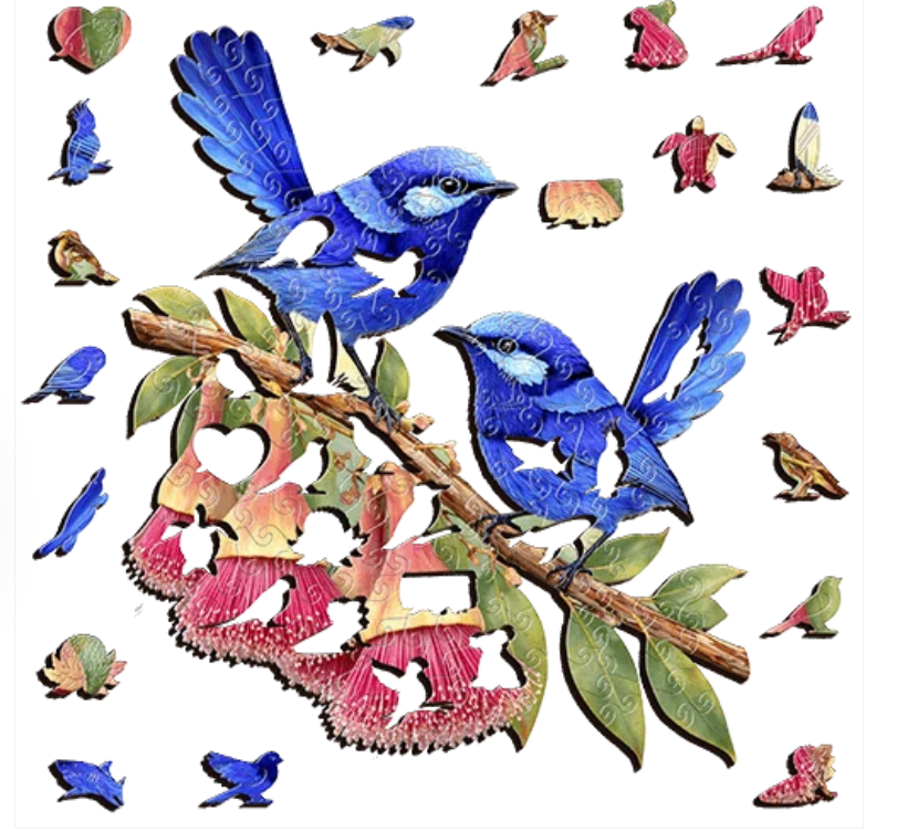 Splendid Fairy wrens Puzzle Art Australia