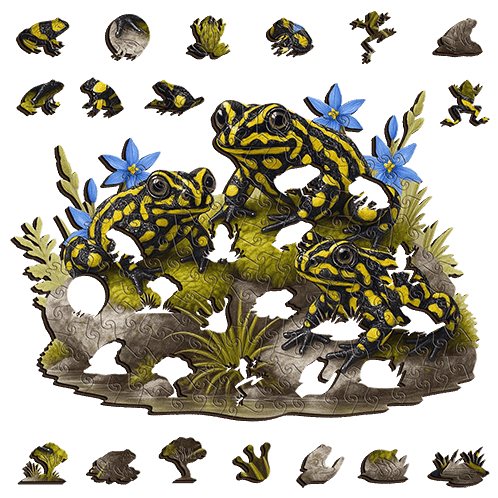 Southern Corroboree Frog Puzzle Art Australia