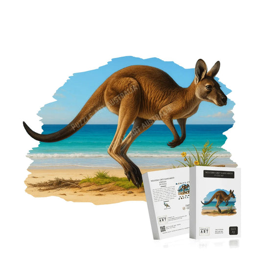 Western Grey Kangaroo Puzzle Art Australia