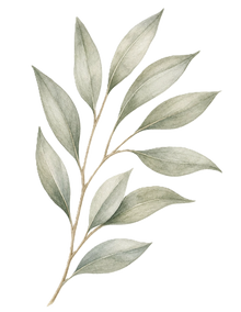 Botanical decoration