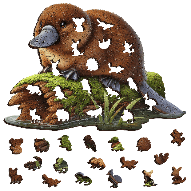 Platypus Dreaming Wooden Puzzle Puzzle Art Australia