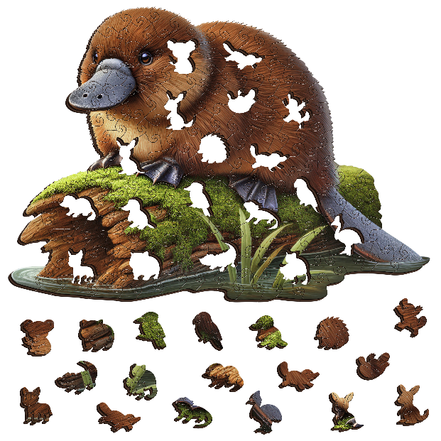 Platypus Dreaming Wooden Puzzle Puzzle Art Australia