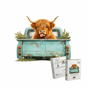 Highland Cow Country