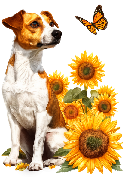 Jack Russell With Sunflower