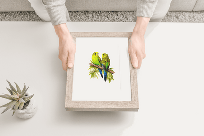 Wild Budgies Puzzle Art Australia