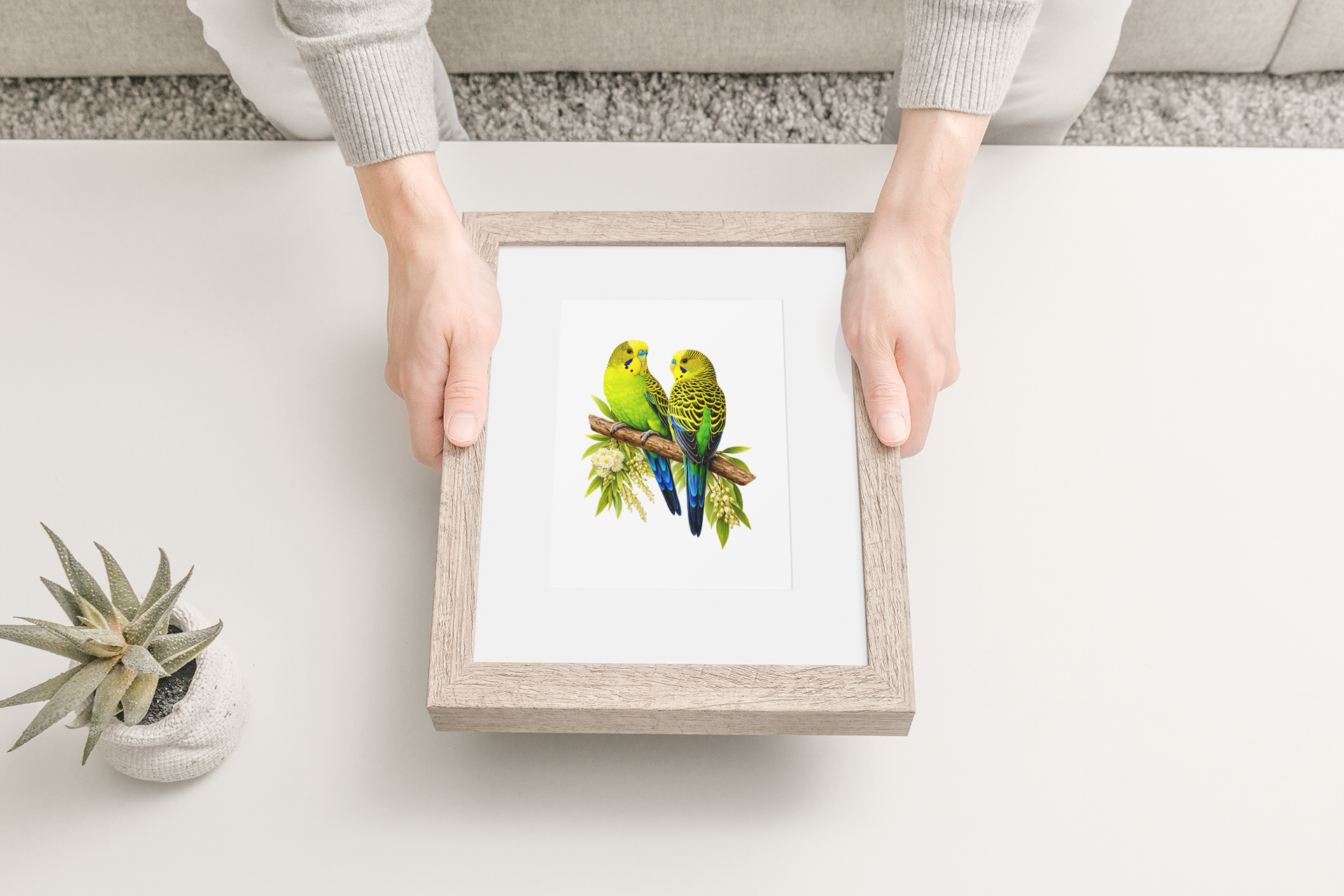 Wild Budgies Puzzle Art Australia