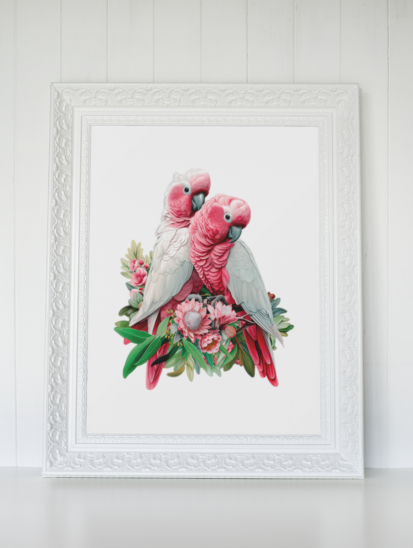 Galah Pair