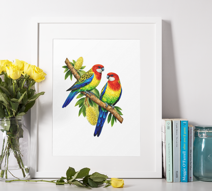 Eastern Rosella's Puzzle Art Australia