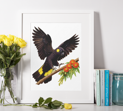 Eastern Rosella's Puzzle Art Australia