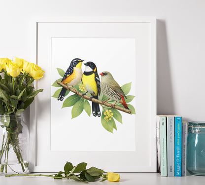 Eastern Rosella's Puzzle Art Australia