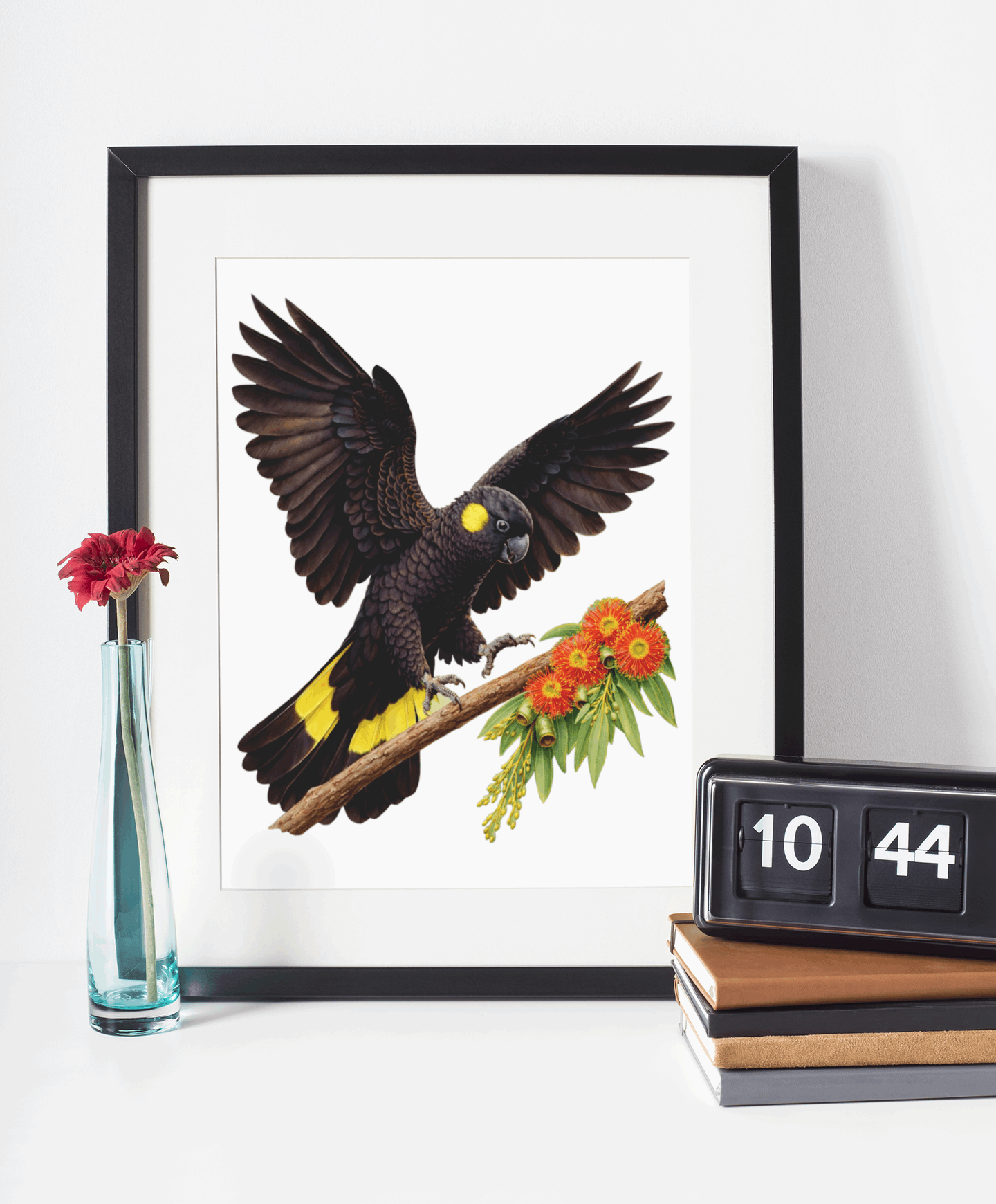 Black Yellow Tail Cockatoo Puzzle Art Australia