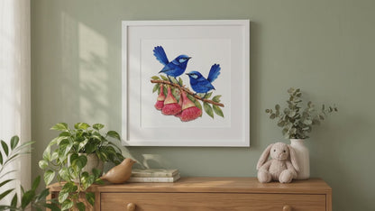 Splendid Fairy wrens